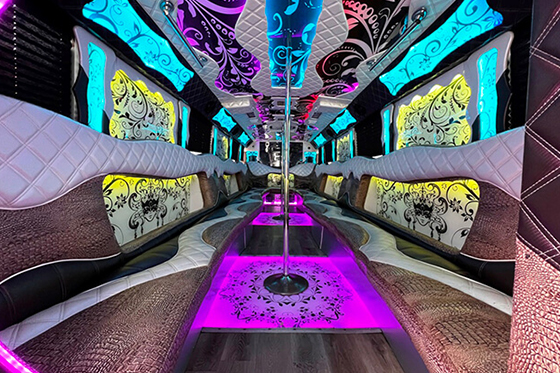 venice party bus