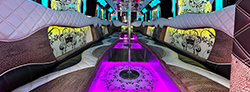 venice party bus